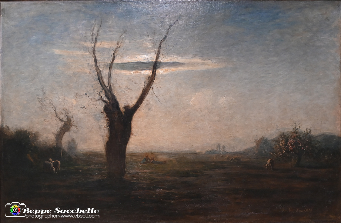 VBS_6004 -   Ottocento - Collezioni GAM dall’Unità d’Italia all’alba del Novecento.jpg